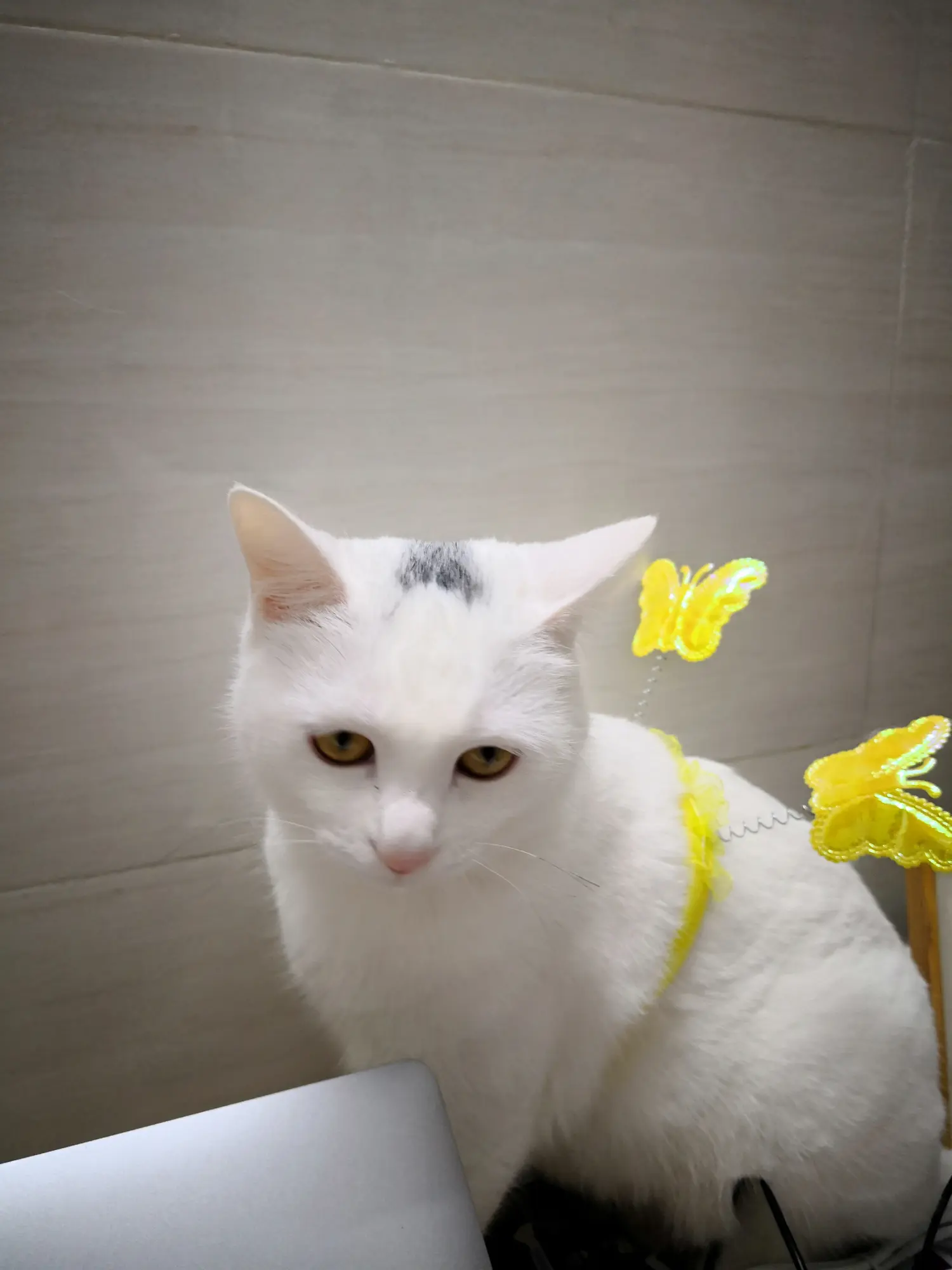 小松
