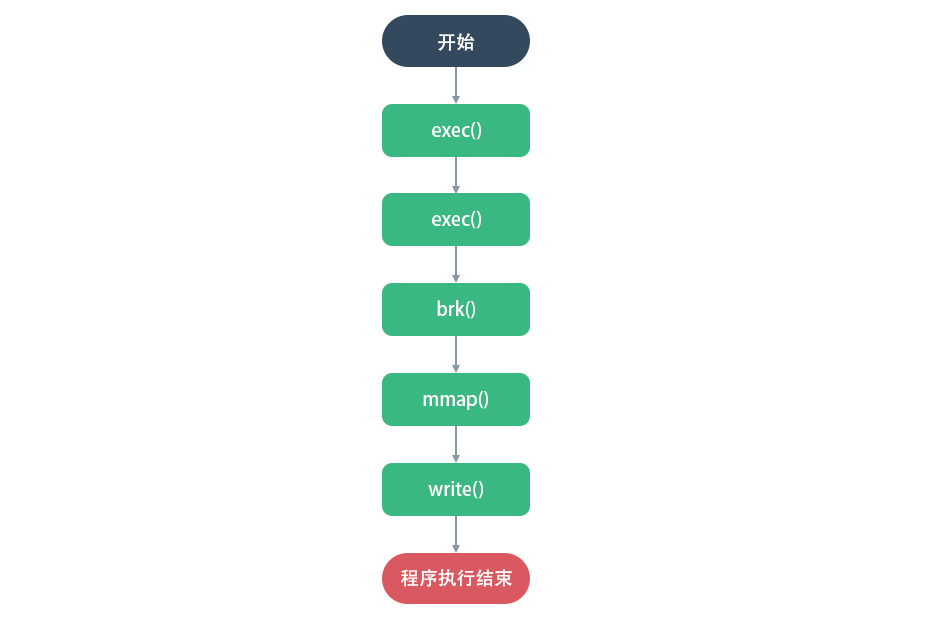 c 程序执行流程